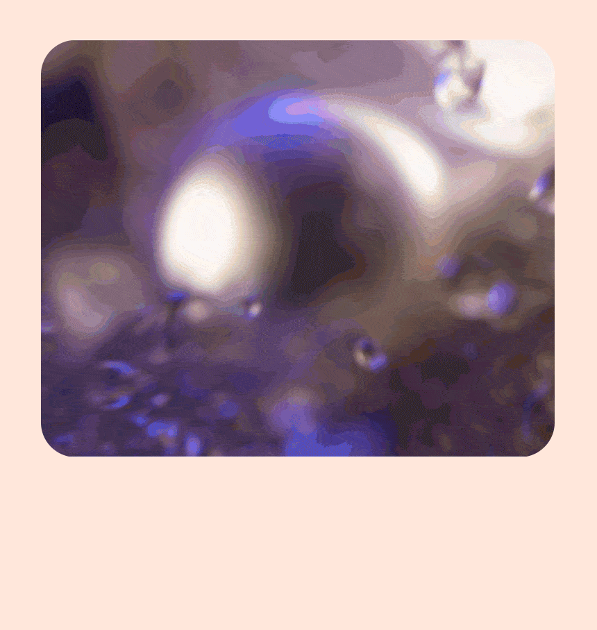 bf119a58054ed05fafde713cffb2ff56_1744366435_2821.gif